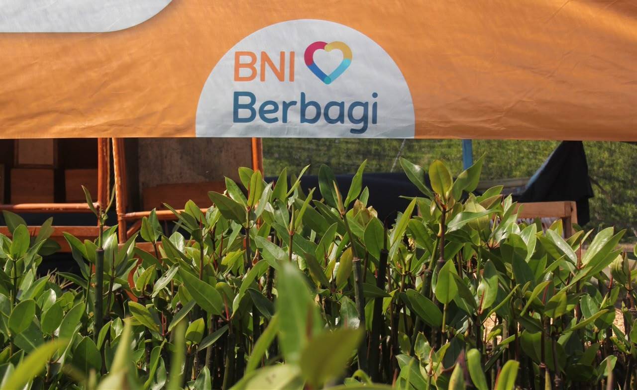 Hari Mangrove Sedunia jadi momentum BNI lestarikan pesisir