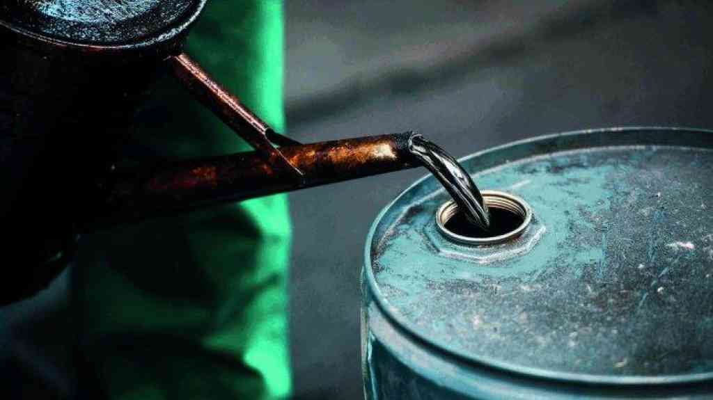 Domestic oil firms help China weather its energy crisis
